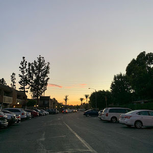 Meet your Posher, Ingrid